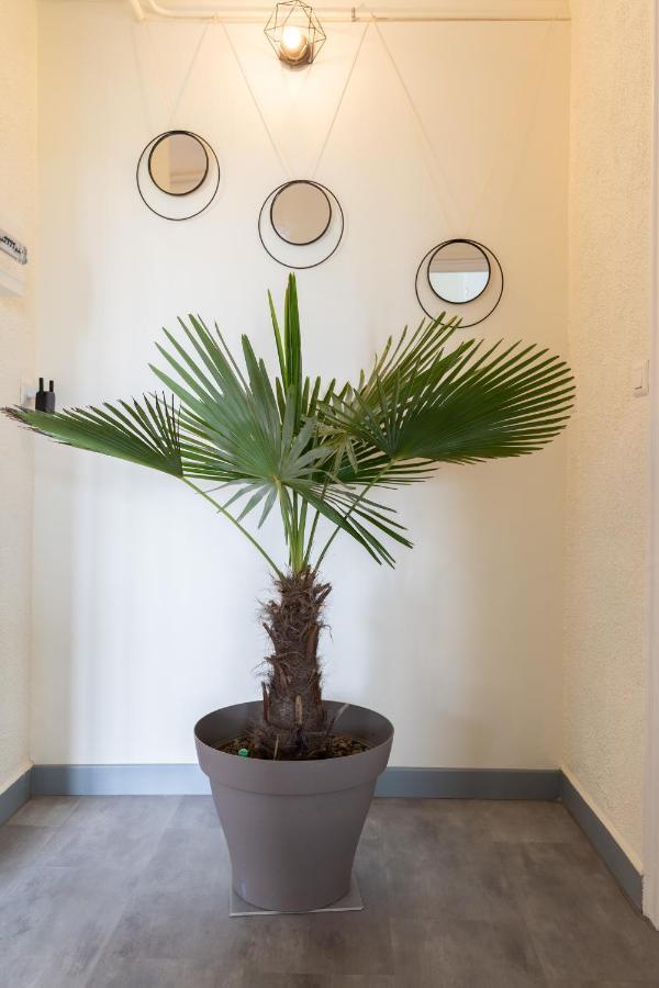 L'Appartement A Cardaillac 로데즈 외부 사진